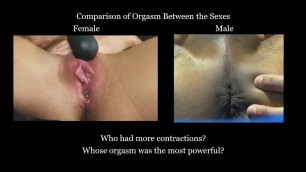 Comparison of Male and Female Orgasm